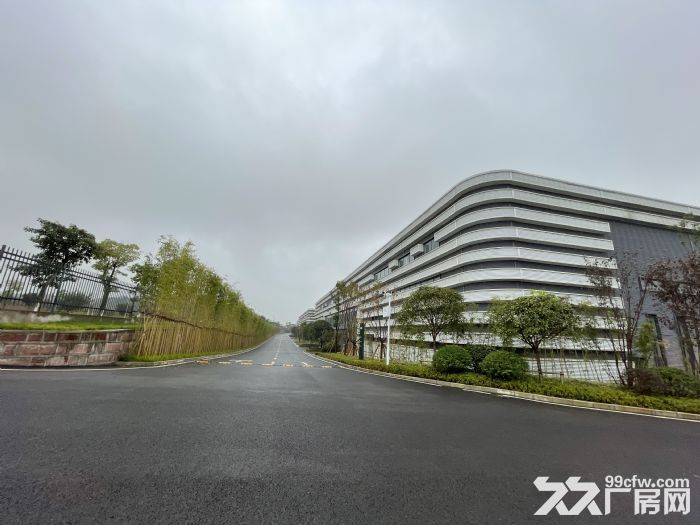 金凤标准厂房招租，可安装行车，动力电充足！-图1