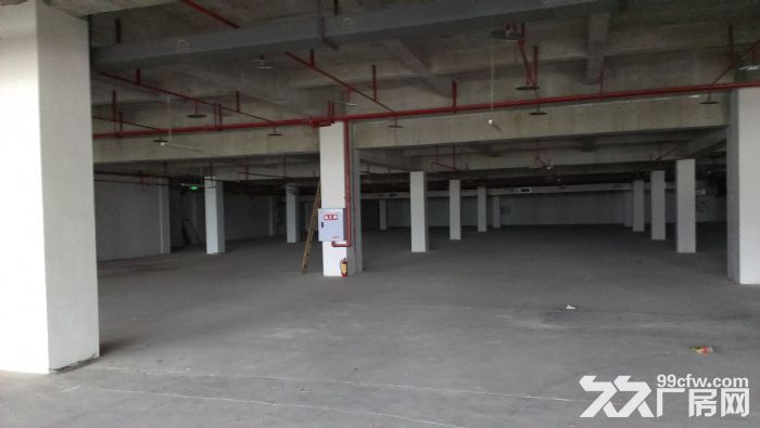 重庆渝北区回兴服装城轻轨站附近平层仓库低价出租-图3