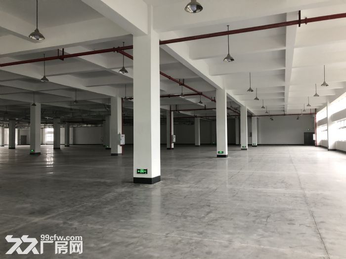 渝北回兴服装城标准厂房3000平米  可分租-图6