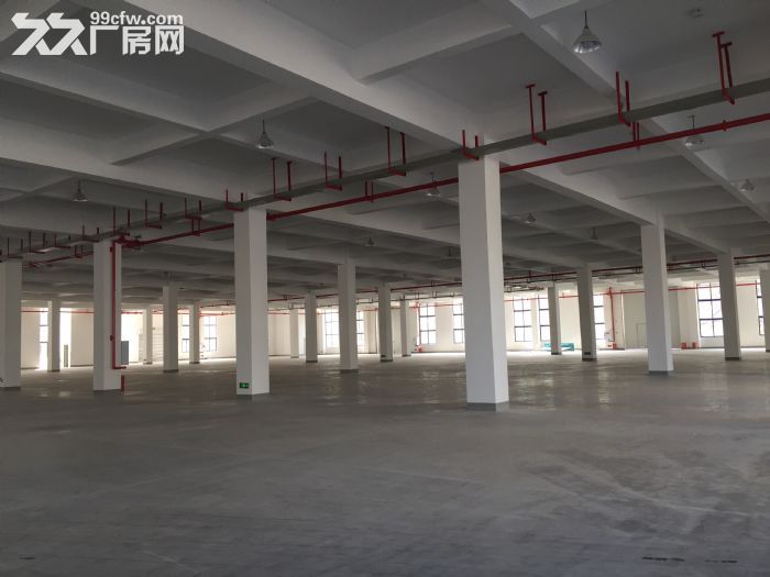 渝北鸳鸯独门独院标准厂房10000平米-图3