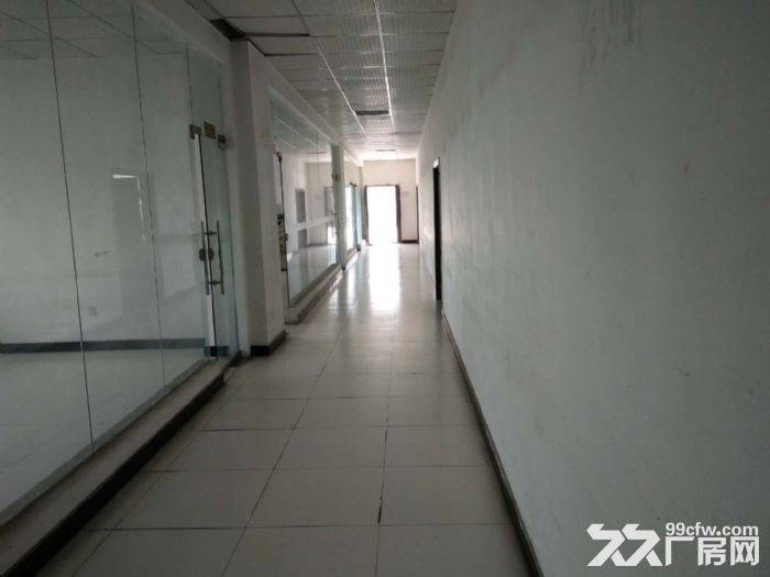 南岸区鸡冠石附近4000平厂房火爆招商-图3