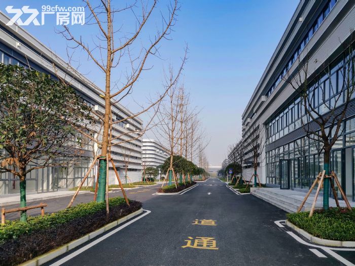 空高11米，带办公室，拖挂车可进 单层钢结构厂房-图4