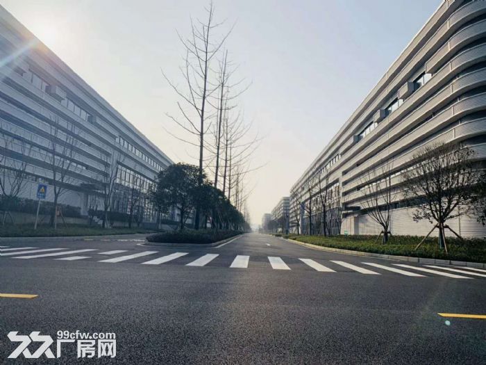 租售大学城独栋轻钢结构12米层高标准厂房仓库8000平，可分租-图1