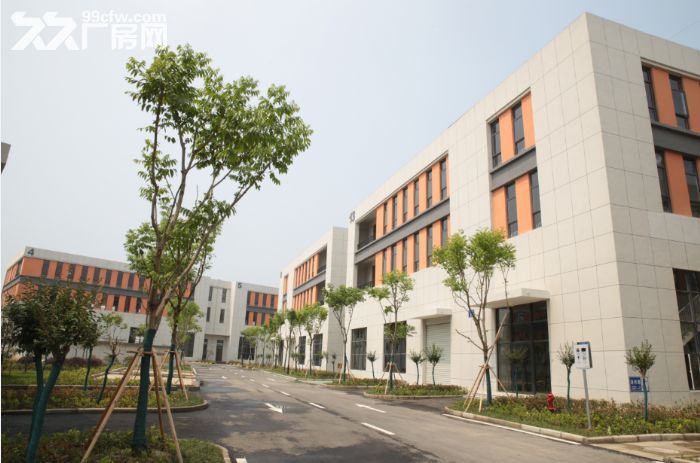 减免33%企业税收，全市唯一8.1米两层，打起灯笼找都只得这一家了-图1