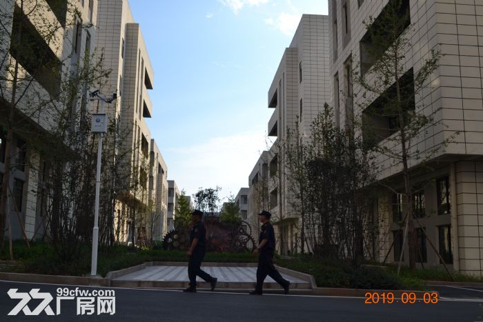 永川标准厂房出租  出售-图2