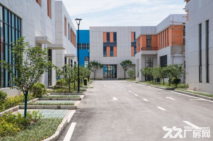 减免33%企业税收，全市唯一8.1米两层，打起灯笼找都只得这一家了-图3