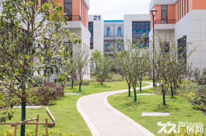 送水电气，重庆唯一8.1米两层楼&&低首付&&-图2