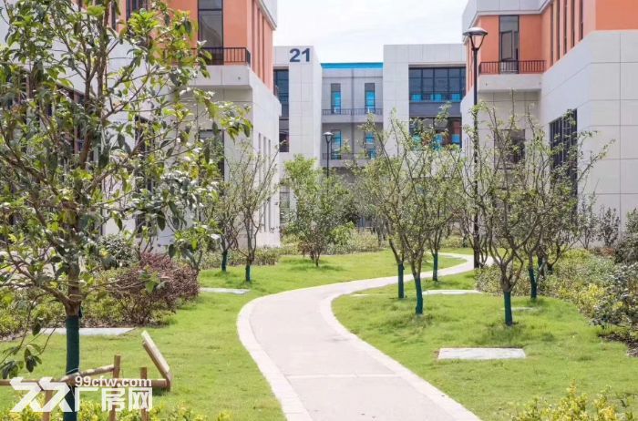 免33%企业税收，600−−−7000㎡户型灵动多变，吃住行配套齐全，招工便利-图2