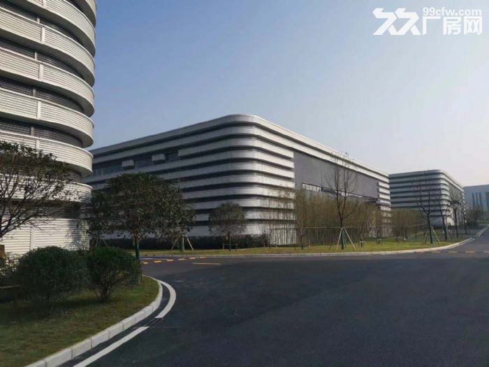 出租巴南水土沙坪坝双福，全新独栋厂房，已过环评（非中介）-图7