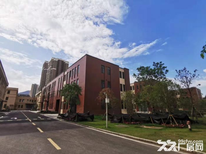 出租巴南水土沙坪坝双福，全新独栋厂房，已过环评（非中介）-图4