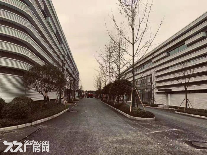 出租巴南水土沙坪坝双福，全新独栋厂房，已过环评（非中介）-图5