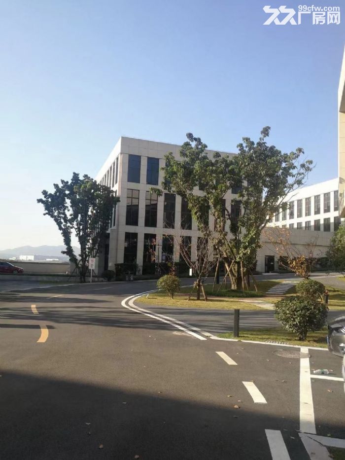 园区直招 花园式独栋 可按揭-图2