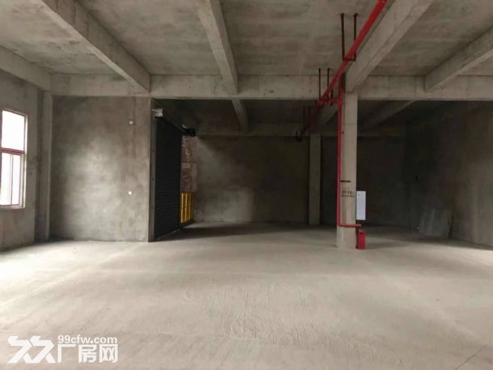 园区直招 花园式独栋 可按揭-图3