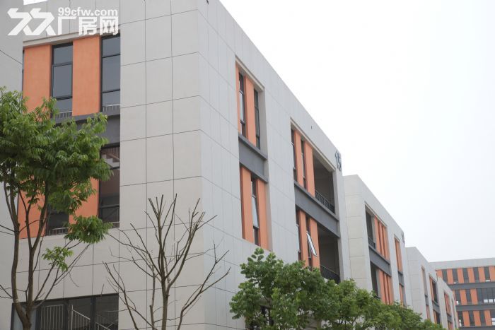 九龙坡美每家标准厂房租售-图5