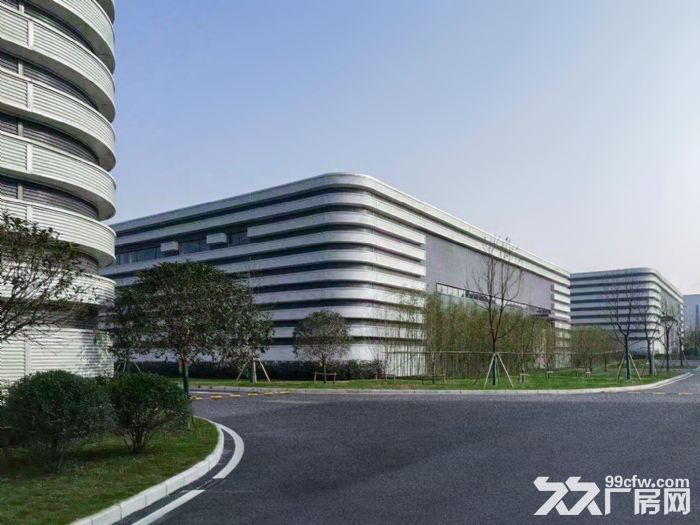 沙坪坝 高新区 单层轻钢厂房 租售-图1