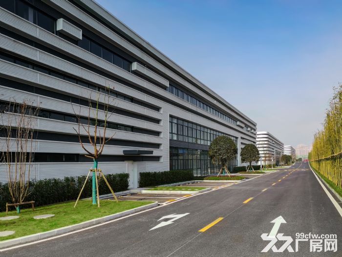沙坪坝 高新区 单层轻钢厂房 租售-图3