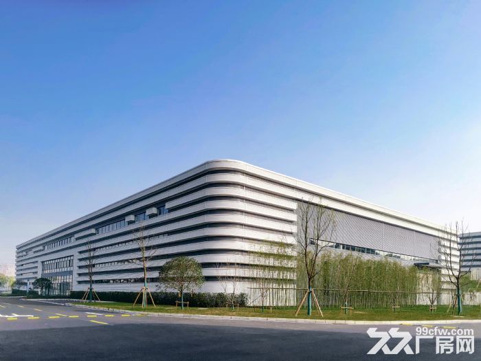 沙坪坝 高新区 单层轻钢厂房 租售-图4