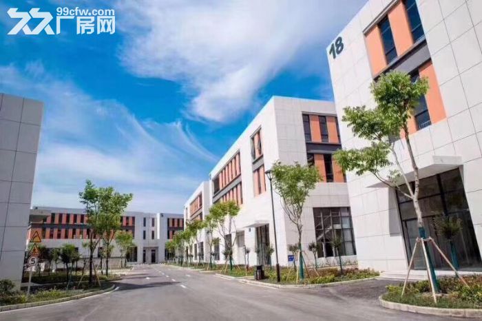 首层挑高8.1米园区框架厂房，低首付按揭10年，水电入户-图5