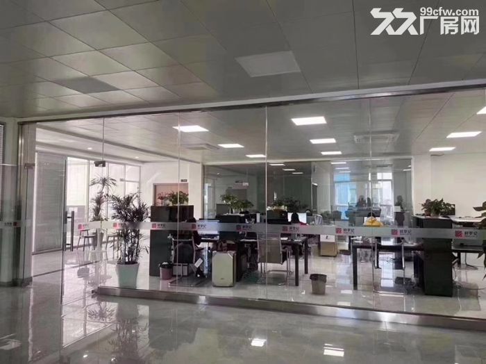 主城附近标准厂房出售、交通便利，配套齐全-图2