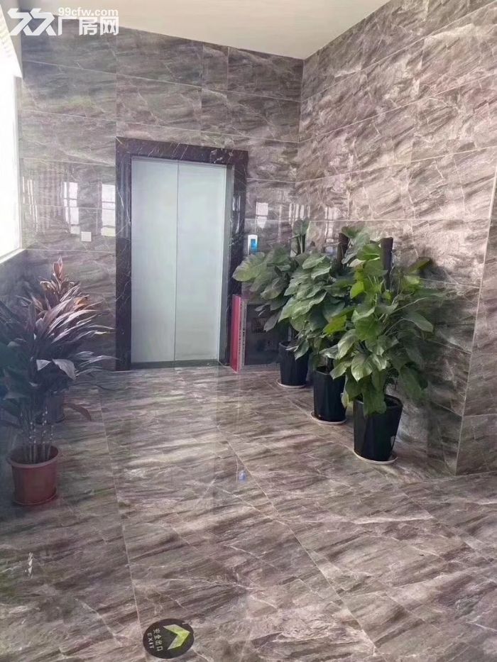 主城附近标准厂房出售、交通便利，配套齐全-图3