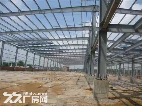单层12米钢构独栋厂房租售-图4