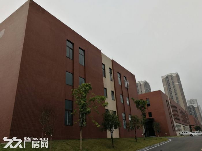 两江新区独栋厂房，1200,1600,2500平，可租可售-图3