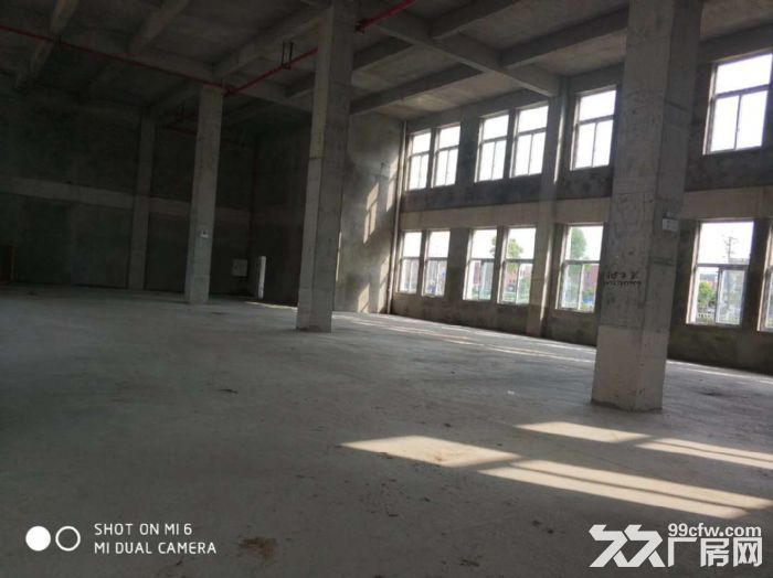 两江新区独栋厂房，1200,1600,2500平，可租可售-图7