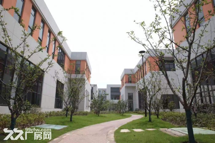 标准钢筋混凝土框架结构厂房，有产权，八米层高，交通便利-图1