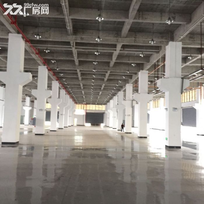 两江新区鱼复工业园5万㎡厂房、库房出租-图6