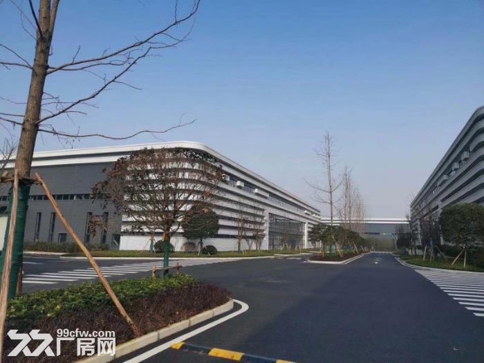 主城沙坪坝核心区域单层钢构厂房出租，价格从优-图6