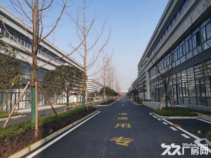 主城沙坪坝核心区域单层钢构厂房出租，价格从优-图5
