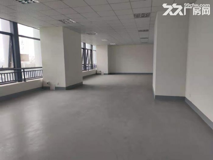 两江新区水土京东方附近优质钢结构厂房-图2
