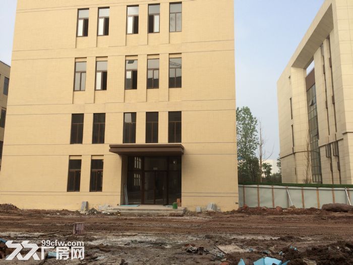 出租大渡口建桥两层独栋标准厂房，可按揭，过环评-图2