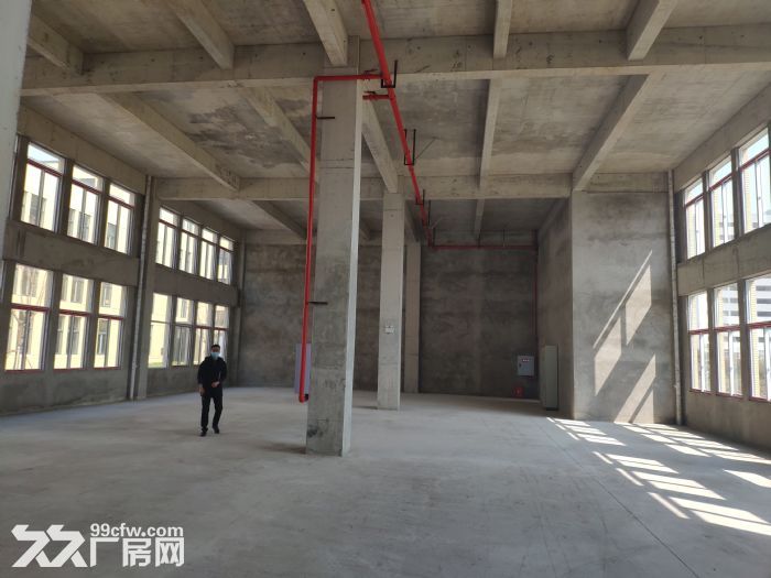 出租大渡口建桥两层独栋标准厂房，可按揭，过环评-图5