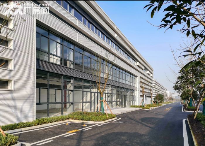 租售南岸茶园两层半厂房，可按揭，过环评-图3