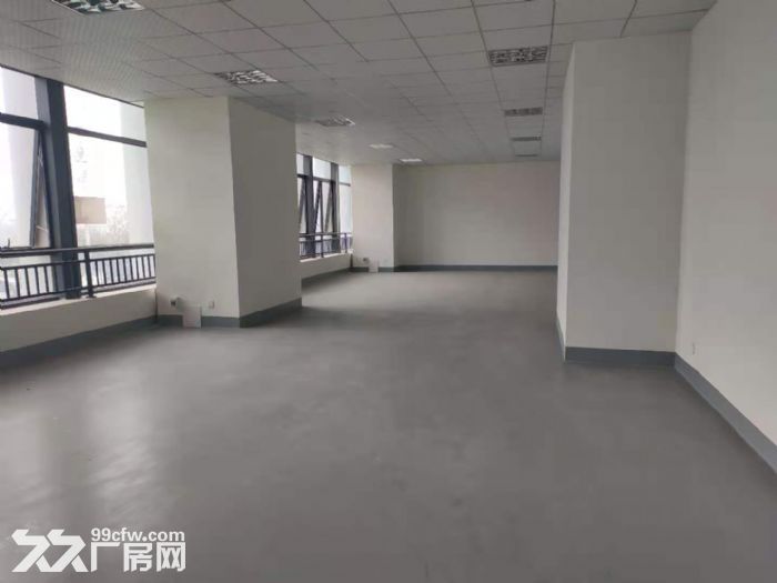全新独门独院14米层高钢结构厂房招租-图1