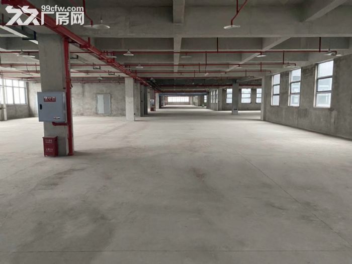 个人出租九龙坡区华富路全新厂房-图3