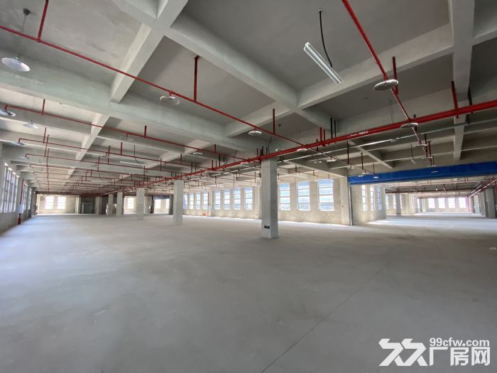个人出租九龙坡区华富路全新厂房-图4