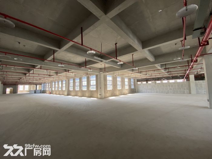 个人出租九龙坡区华富路全新厂房-图5
