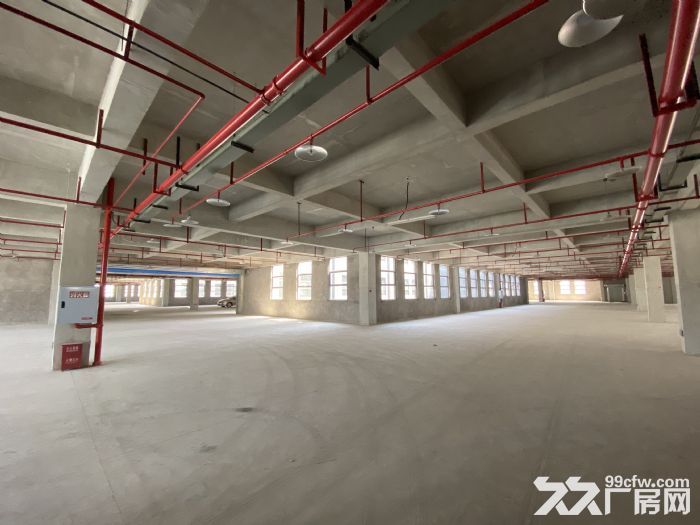 个人出租九龙坡区华富路全新厂房-图7