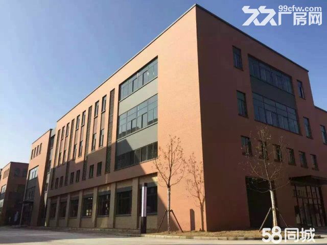 轻钢厂房，独栋办公，高性价比-图3