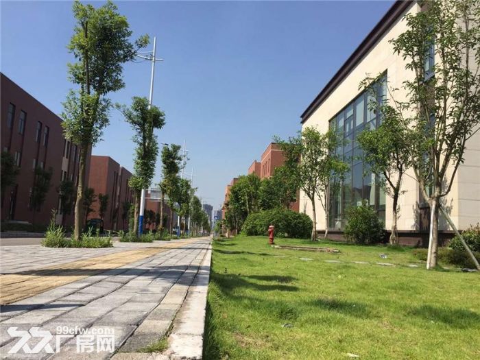 轻钢厂房，独栋办公，高性价比-图4