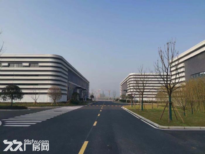 大学城钢架厂房出租，高端大气上档次，成熟稳重有内涵就是它了-图2