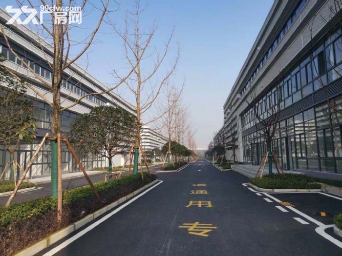 大学城钢架厂房出租，高端大气上档次，成熟稳重有内涵就是它了-图5