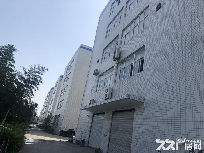 江北园区直招厂房 办公楼 各种面积 见详情(非中介)-图4