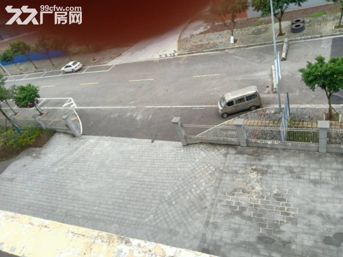独门独院标准厂房出租-图2