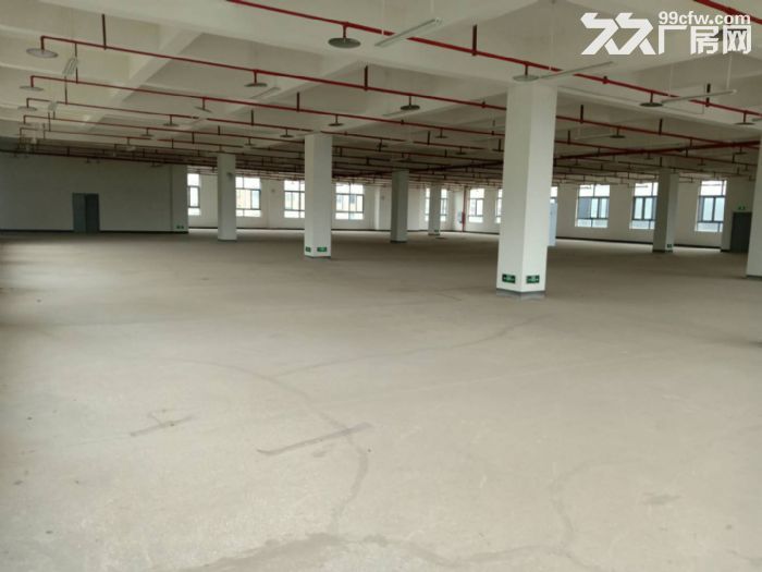 独门独院标准厂房出租-图4