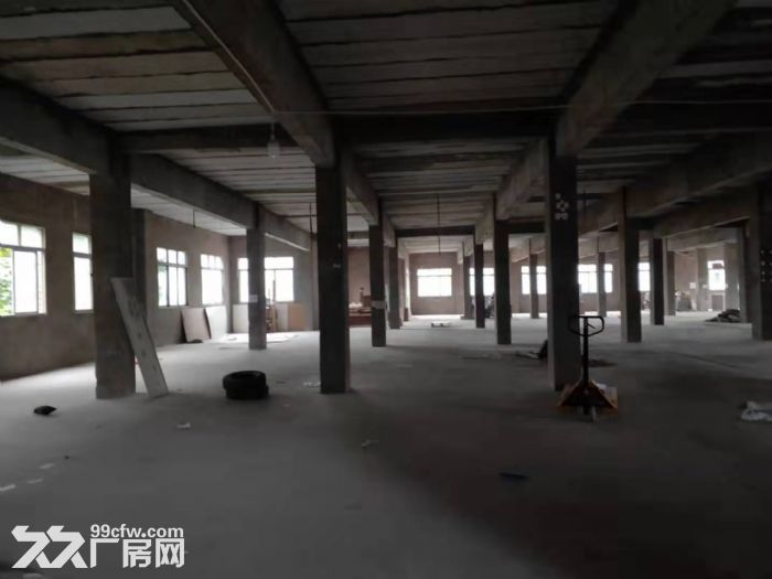 南岸南山2300平6米层高厂房出租可分-图1
