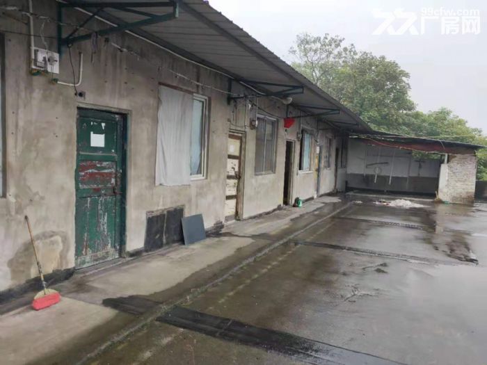 南岸南山2300平6米层高厂房出租可分-图3