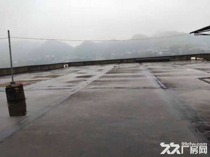 南岸南山2300平6米层高厂房出租可分-图5